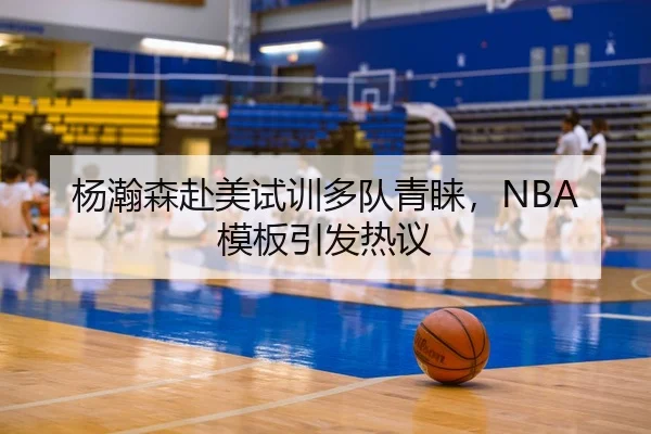 杨瀚森赴美试训多队青睐，NBA模板引发热议